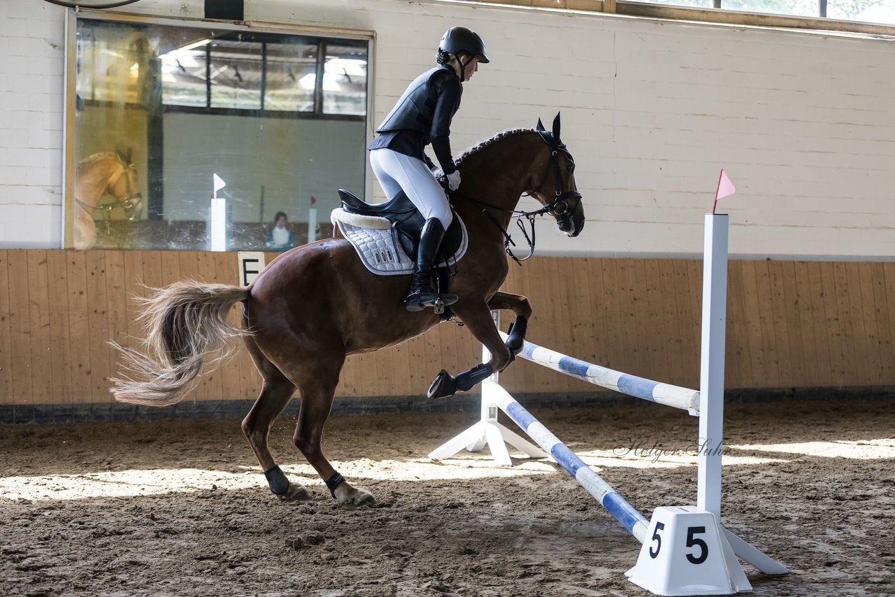 Bild 10 - Pony Akademie Turnier